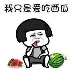 娱乐吃瓜酱很火吗